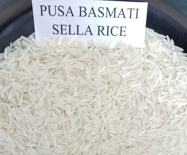 Basmati Rice