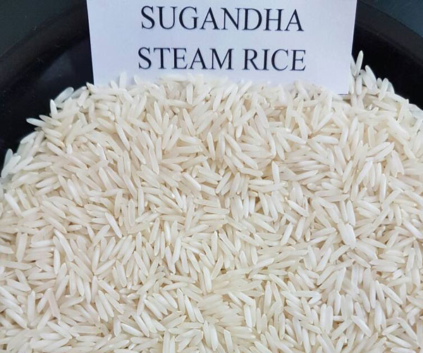 Basmati Rice