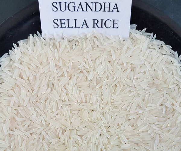 Basmati Rice